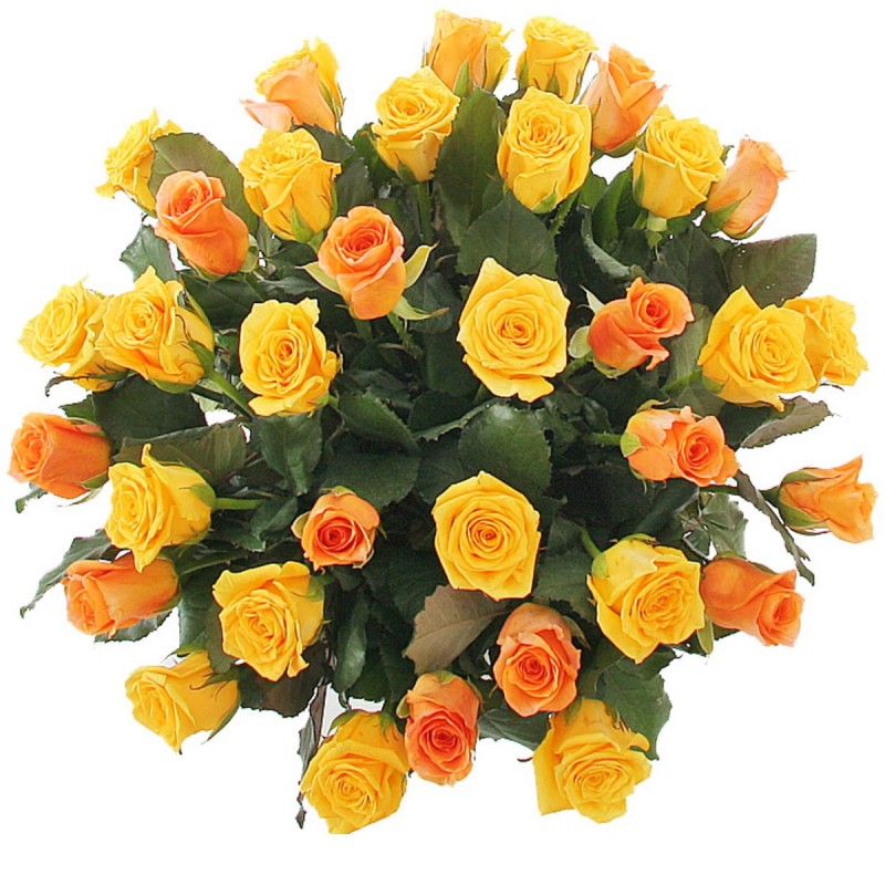 Букет из 31 коралловой и оранжевой розы